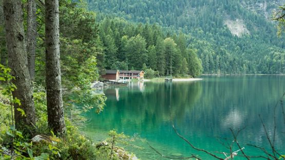 A stately cottage sitting alongside a serene lake.